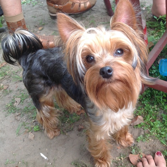 Meet your Posher, Kara - Picture 1 of 2